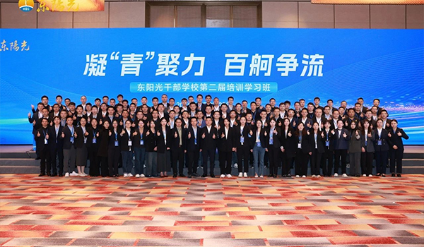 凝“青”聚力，百舸争流 | NG28干部学校2024年第二届培训学习班圆满结束